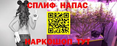 сатива Ирбит