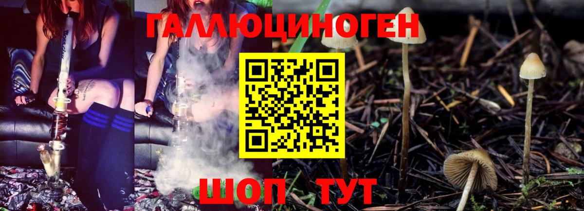 Псилоцибиновые грибы прущие грибы  Псилоцибиновые грибы GOLDEN TEACHER  Димитровград  Вход с VPN 